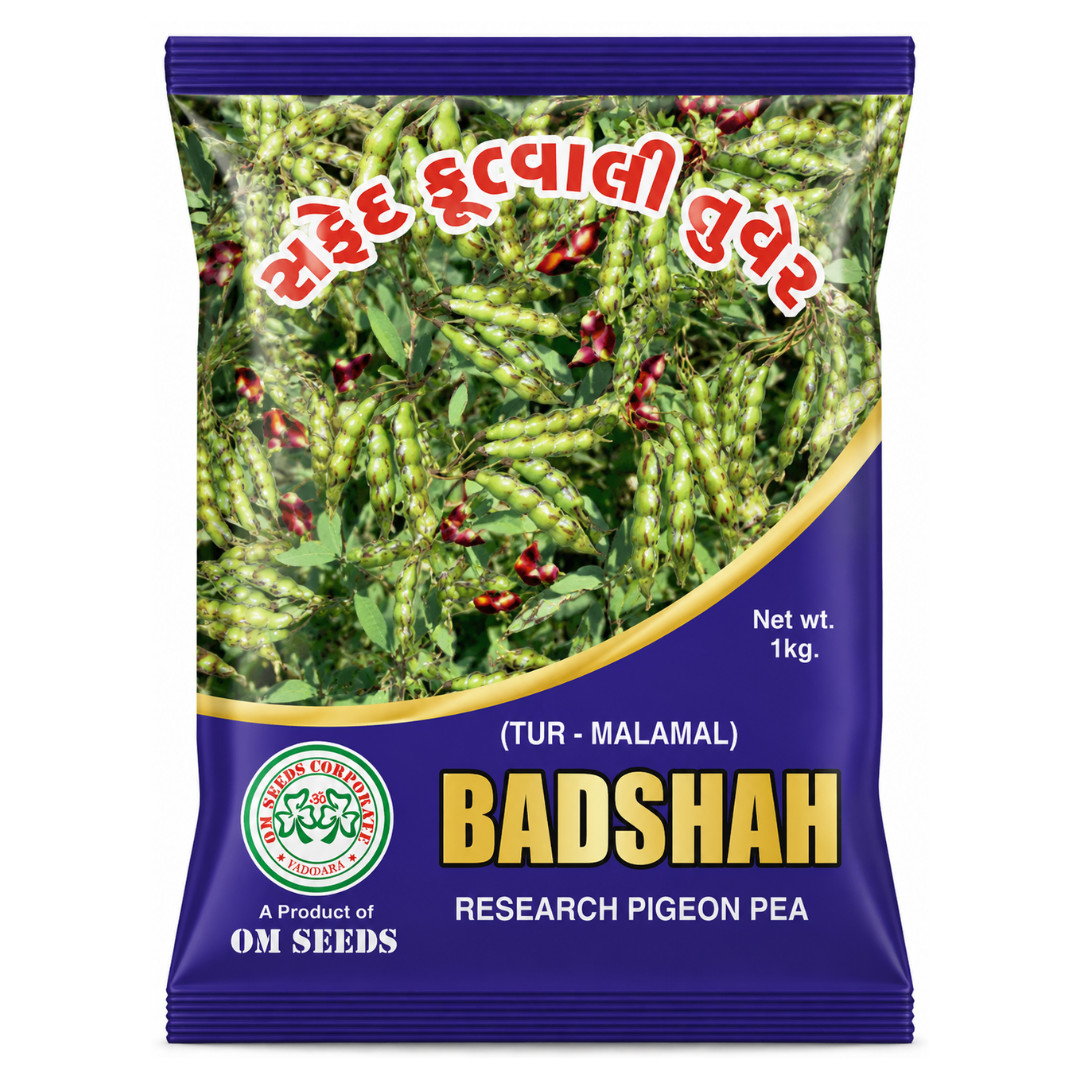 Badshah Research Pigeon Pea